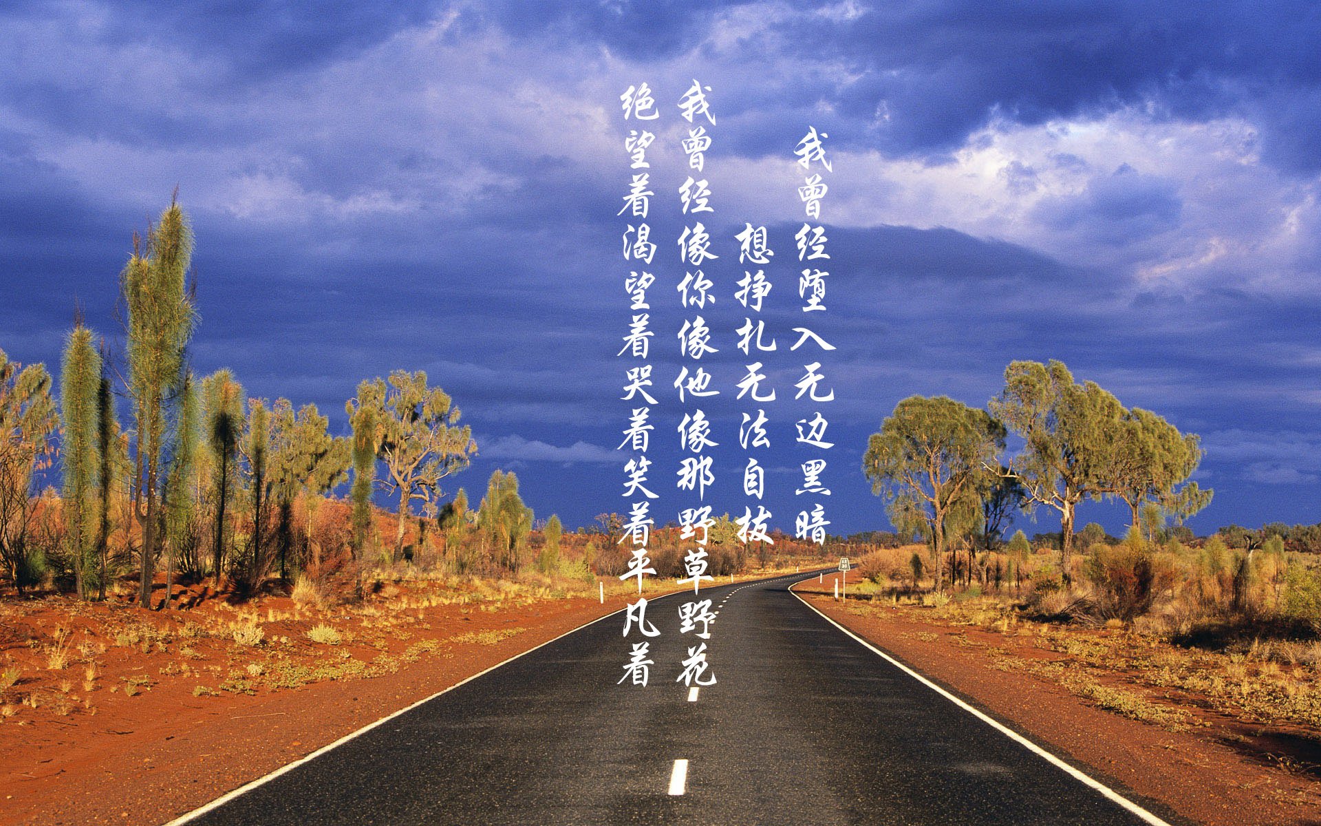 kaiyun-公牛队年轻核心球员提升场均得分，公牛队最强的一年