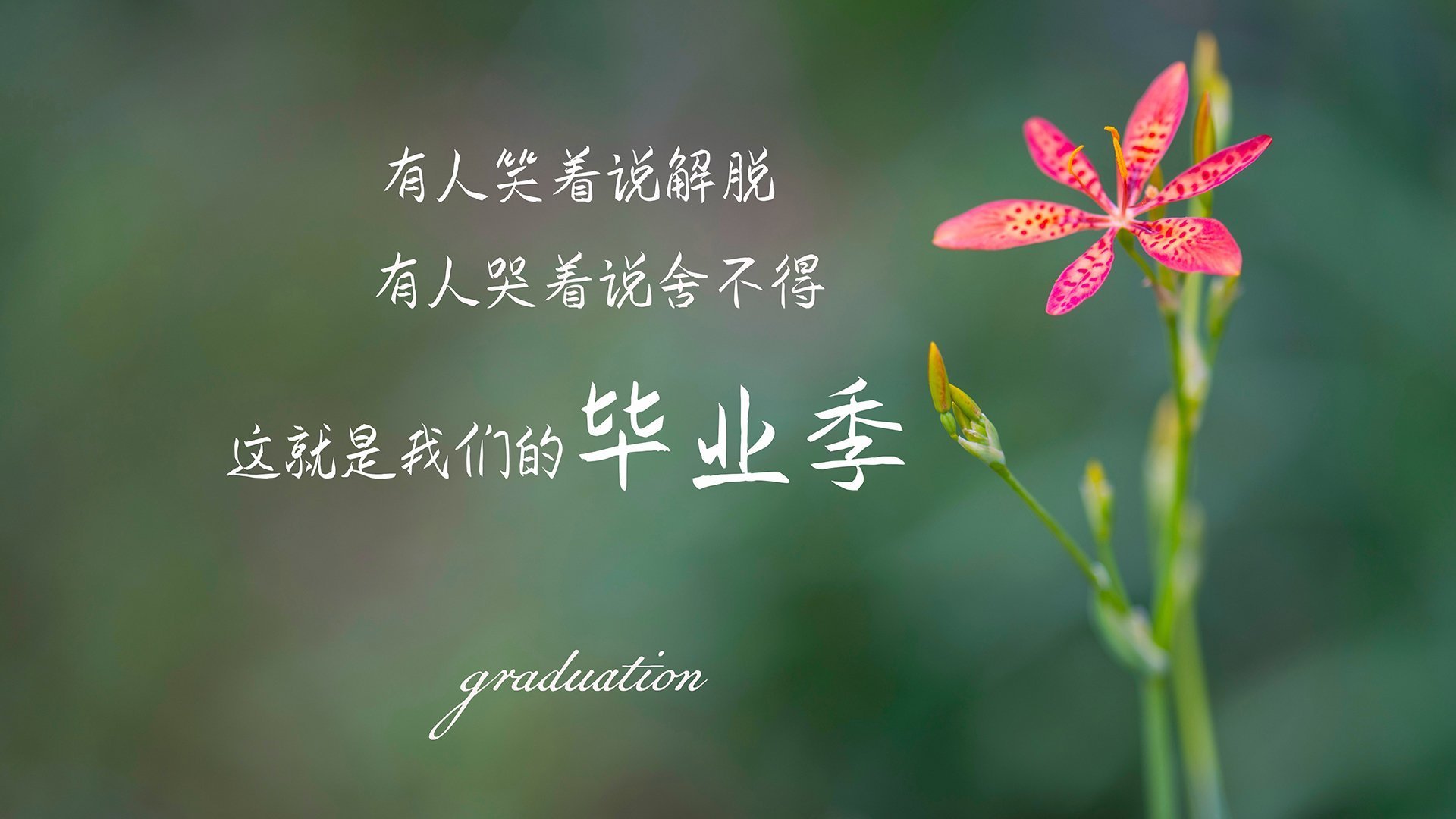 足球创新：引领未来的战术思潮，足球方面的创新创业