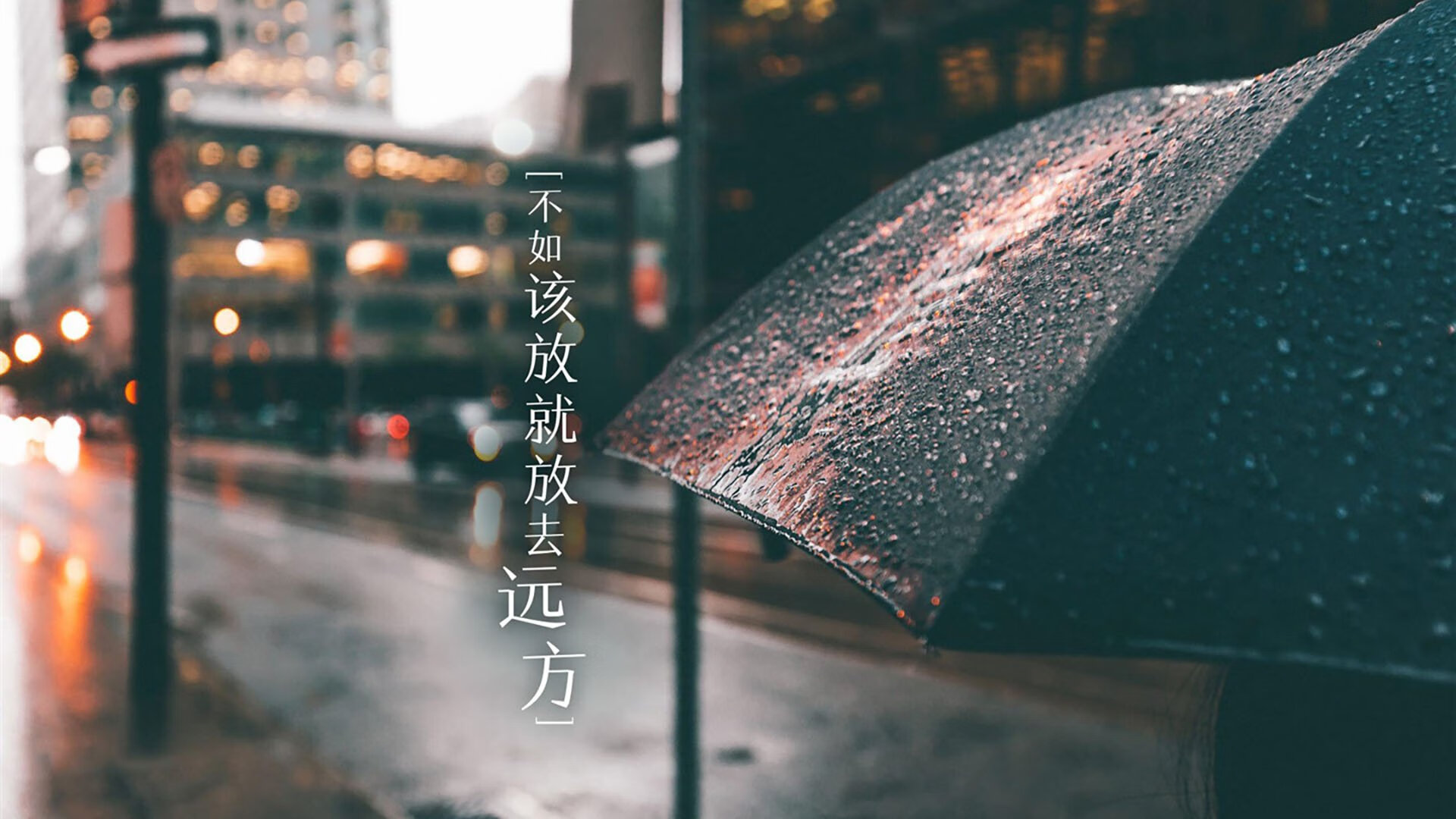 运动装备安全标准实施效果评估，运动装备安全标准实施效果评估包括