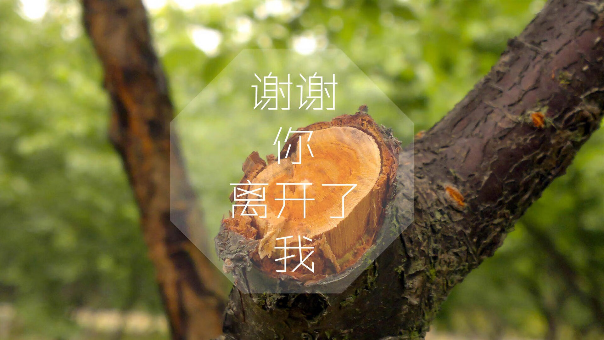 开云中国大陆-俱乐部运营未有效连接本地教育资源，俱乐部运营团队的作用