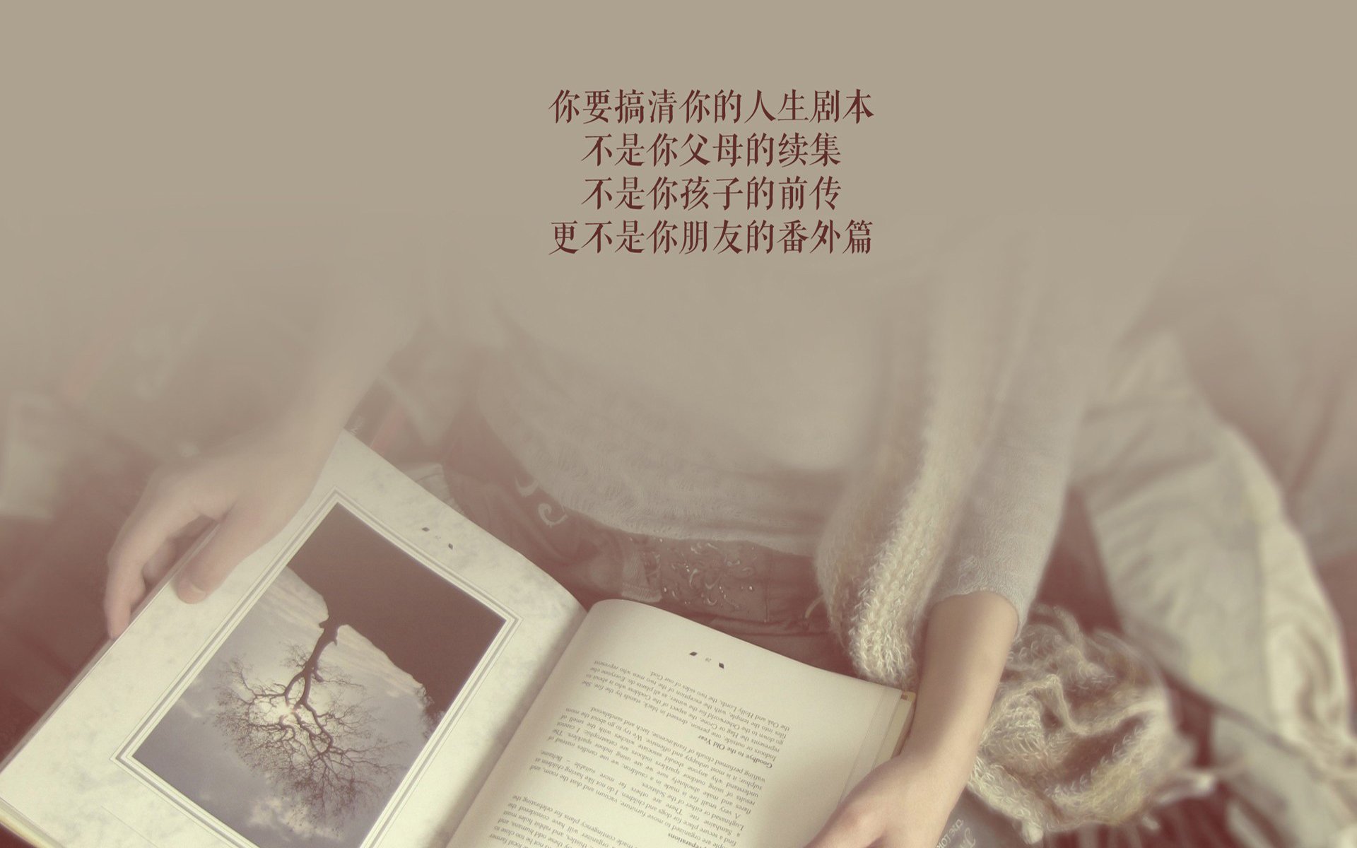 李冰洁坚持到底 赢得观众尊敬，李冰洁夺冠评价