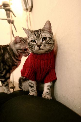 绿色环保足球器材在校园推广,实现绿色骑行与运动相结合,足球 绿色