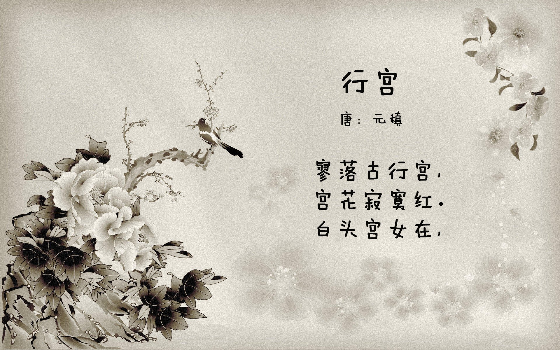 西班牙青年队在欧洲青年赛事中表现出色，潜力无限