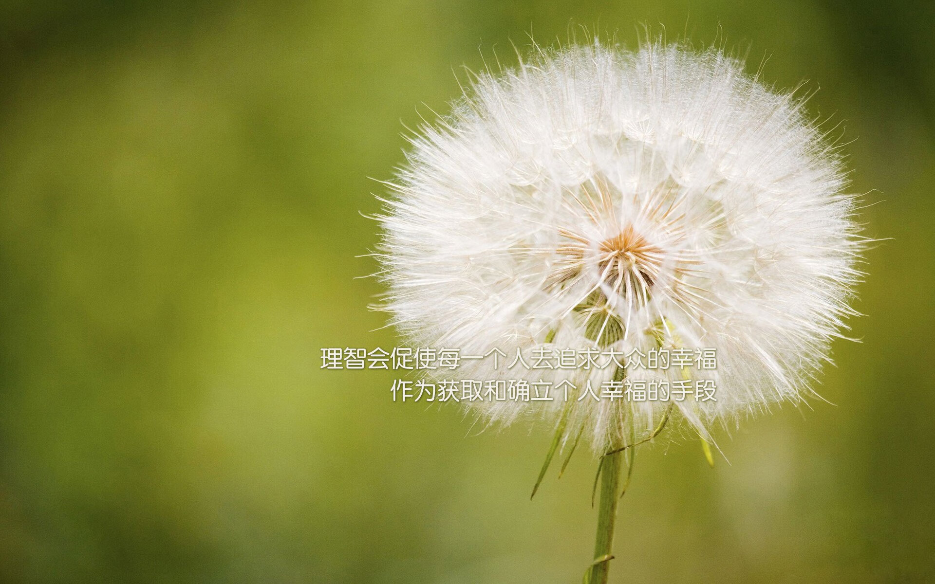 kaiyun-赛后采访环节火药味十足双方教练言语针锋相对，赛后采访视频