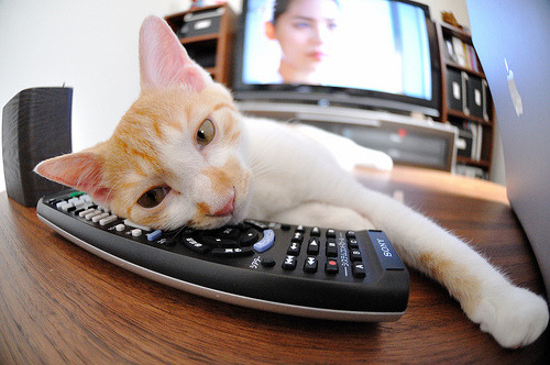 青训营结合科技手段完善训练效果反馈,青训营结合科技手段完善训练效果反馈