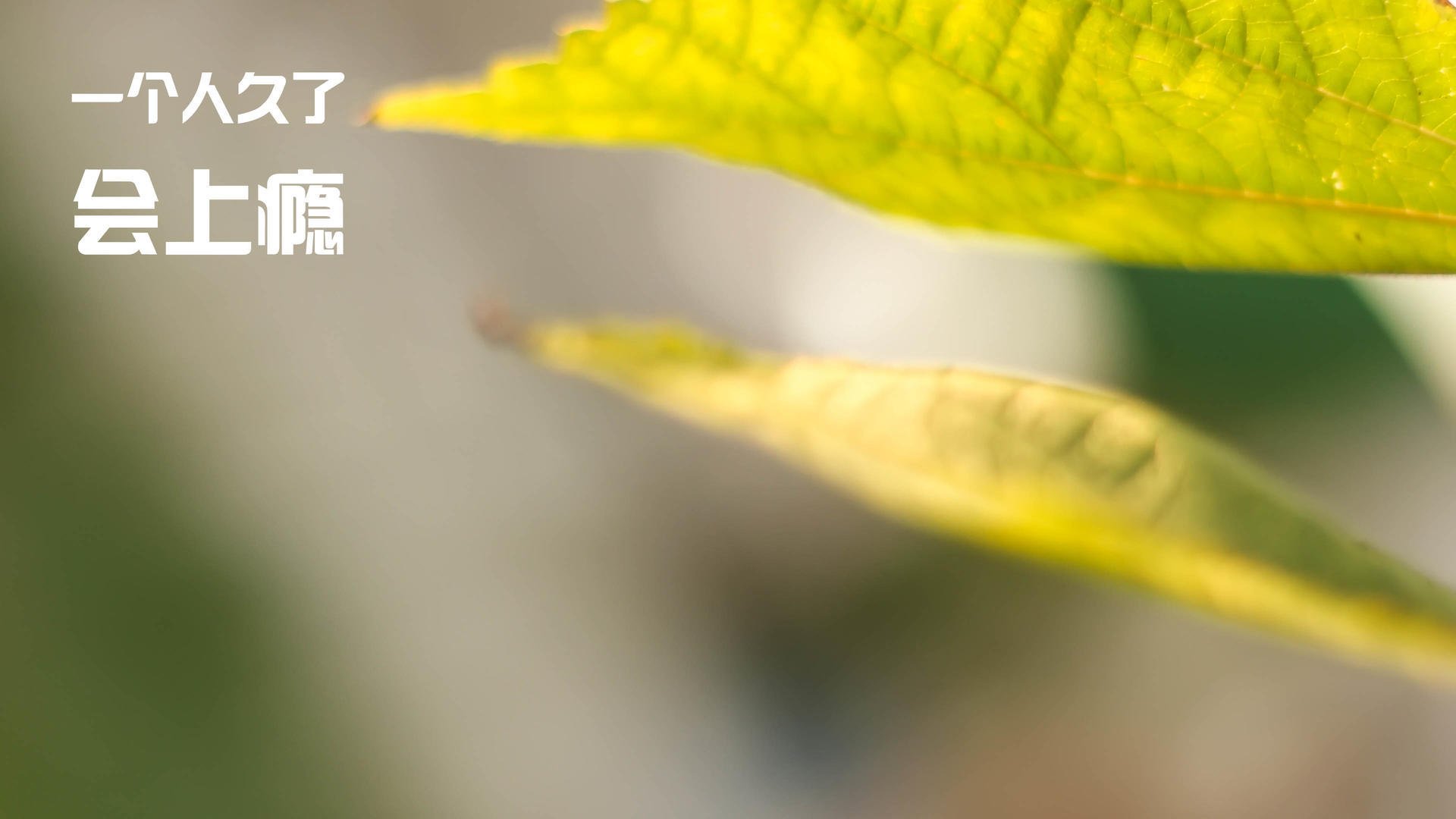 开云官网APP下载-马里特·斯滕伯根冲刺力十足赢得掌声，马滕·斯特克伦博赫