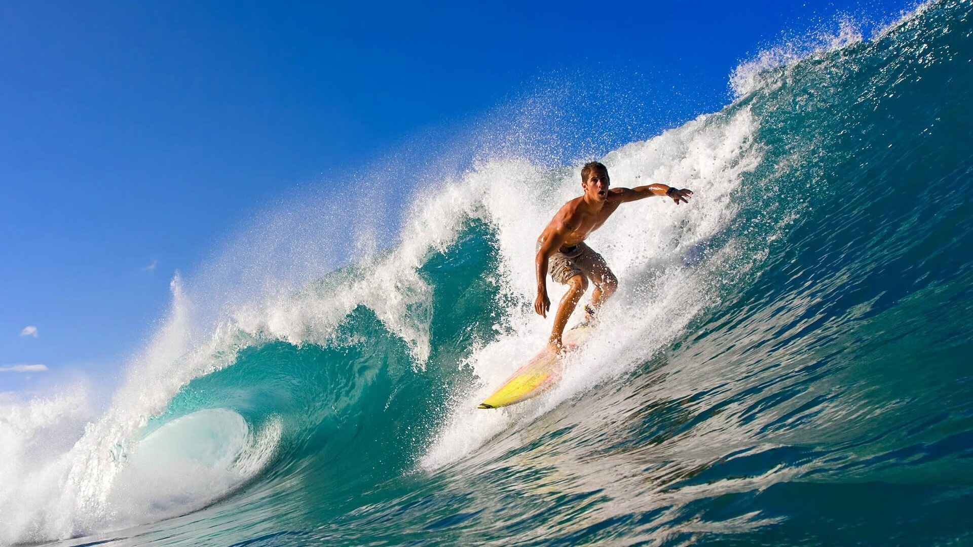 【青训新风向】AI青训体系如何培养下一代巨星?,青训体系是什么